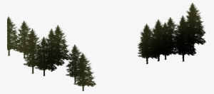 Land Pinos 01 - Stormy Night - Rectangle Necklace - Tree Jewelry