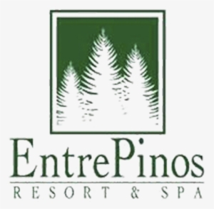 Hotel Entre Pinos - Christmas Tree