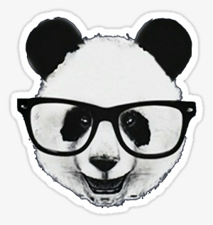 Baby Animals Animales Emoticon Hipster Tumblr Cute - Hipster Panda