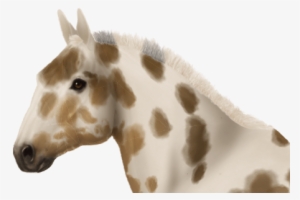 Taken On Sat Apr 07, 2018 - Mustang Horse