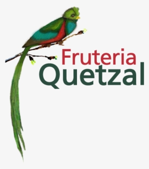 Fruteria Quetzal