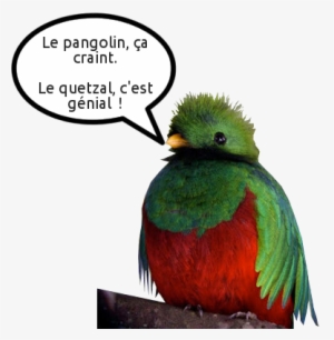 1610 Unity8 10 Nov 2018 - Benjamin Kerensa