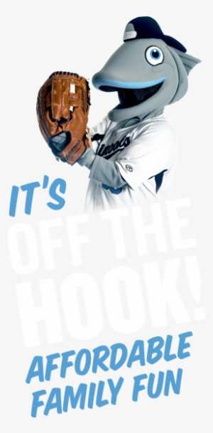 Privacy Policy - College Softball