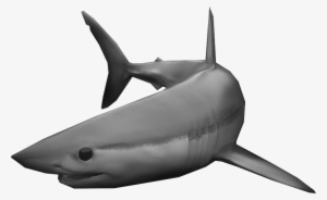 See Why The Shortfin Mako Captures Our Essence - Killer Whale