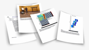 Ekko Project From Field To Finish Report Easily Create - Report