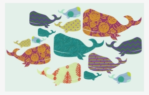 Whales2 - Illustration