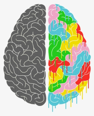 Math Transparent Picture Free Download Clip Art Free - Brain Halves