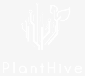 Grow Connected - Graphic Design