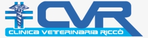 Logo Cvr 1000 - Carl Verheyen Take One Step