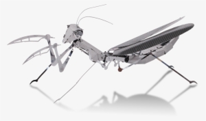 Metal Earth - Insect