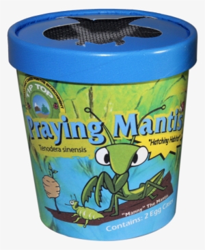 Praying Mantis - Beneficial Insects