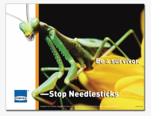 Portex Praying Mantis Poster - Dead Or Alive 3