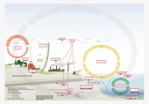 Carbon Cycle Vs Human Activities Clipart Carbon Cycle - Water Carbon And Nitrogen Cycle Combined