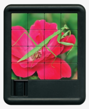 Praying Mantis Sliding Tile Puzzle - Floral Design