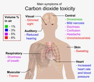 Main Symptoms Of Carbon Dioxide Toxicity - Carbon Dioxide Poisoning