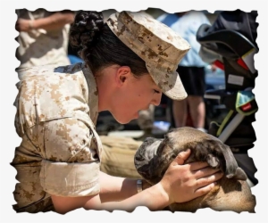 Combat Medic