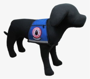 Service Dog, Please Don't Pet Me Reflective Vest - Service Dog