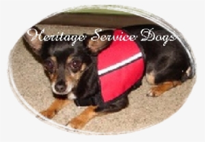 Mocha Was Placed In Washington Into Our "guardian" - Regulation