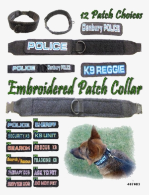Embroidered Patch Dog Collar - Companion Dog