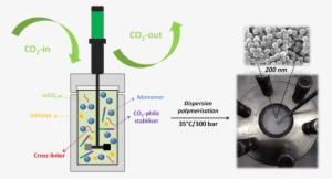 Synthesis Of Poly Networks Nanoparticles In Supercritical - Supercritical Carbon Dioxide