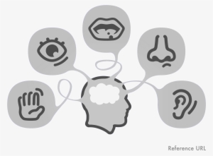 Sight, Hearing, Taste, Smell, And Touch - Day Inside My Mind: Poetry