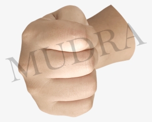 In Simple Words It Is A Closed Fist Position Of The - Suede