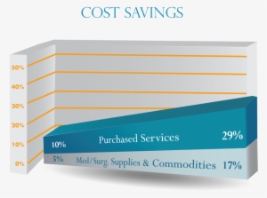 Here At Vie, Our Leading Healthcare Consultants Help - Operating Cost In Healthcare