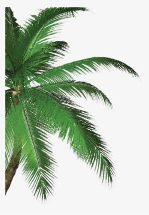 Tree - Tropical Savor Bar And Grill