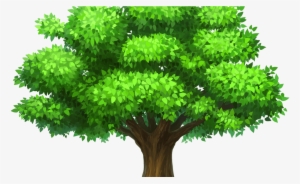 Oak Tree Image Royalty Free Png Techflourish Collections - Trees Clipart Transparent Background