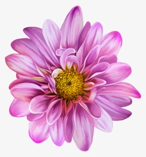 Vector Flowers, Art Flowers, Spring Flowers, Flower - Lisa Flower