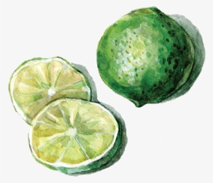 Lime Vector - Portable Network Graphics
