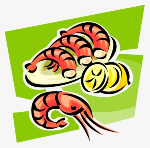 Vector Illustration Of Decapod Marine Crustacean Prawn