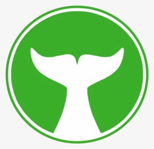 White Whale Solutions - Green Whale Logo