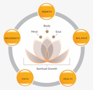 Meaning Of The Lotus Flower - Lotus Flower Spiritual Meaning