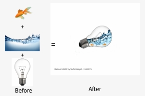 Png Download - Lightbulb Press, Inc.