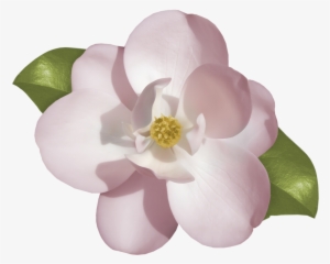 Gardenia Clipart