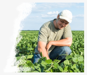 Agrivi Tab Image Farmers - Agriculture