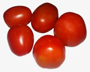 Download Free Tomato Png Large Images Transparent Gallery - Plum Tomato