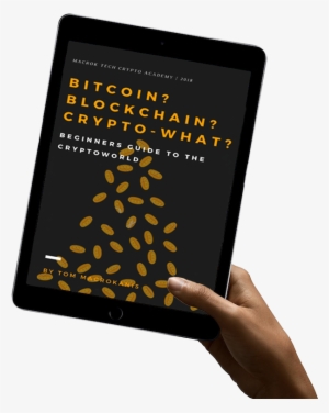 7 Inch Ipad Hand - Apple Ipad Pro 128gb 12.9 Inch Ios 9 Tablet - Silver