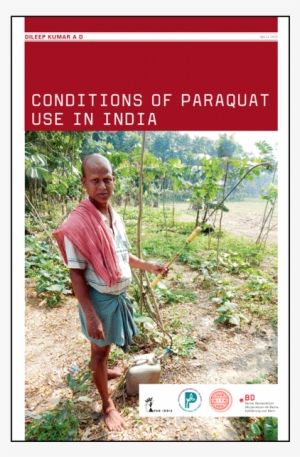 A New Report Published Today Conditions Of Paraquat - Tree