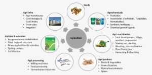 In This Sector - Agriculture