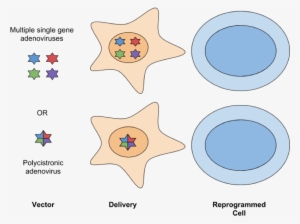 Png Royalty Free Delivery Methods For Generating - Circle