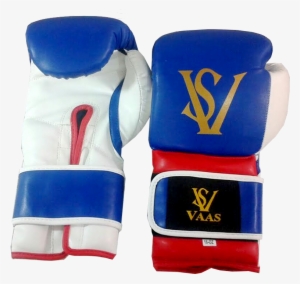 Blue Bloxing Gloves - Boxing