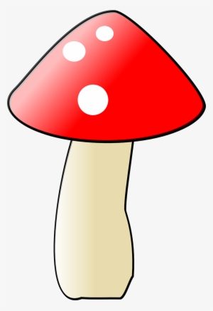 Mushroom Png Images