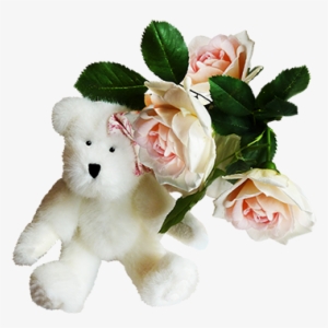 White Teddy Bear With Rose - Alles Gute Zum Geburtstagkarte Teddybär Und Rosa Postkarte