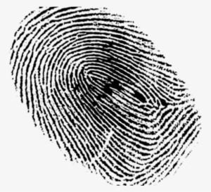 The 311 On Food Stamps - Fingerprint Black And White