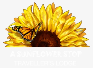 Cape Town Backpackers Hostel - Transparent Half Sunflower