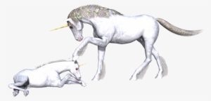 So When She Saw The Unicorn At The Bottom Of Her Garden, - Fairy Tale