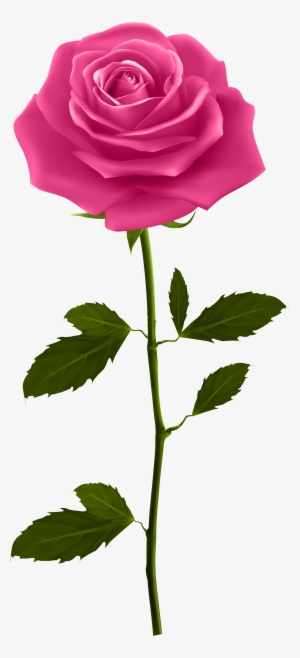 Red Rose Petals Png Download - Pink Rose With Stem