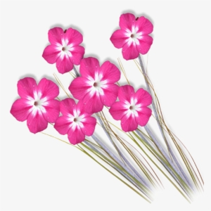 Photoshop Clipart - Png Clipart For Photoshop